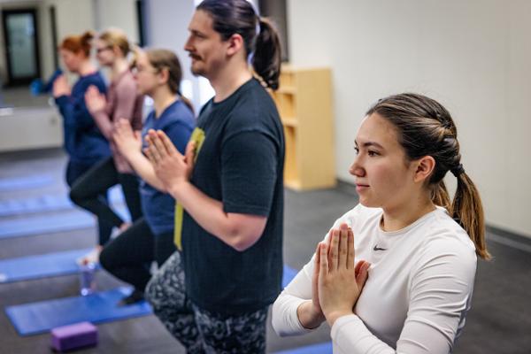 Students in a line seen in profile doing yoga