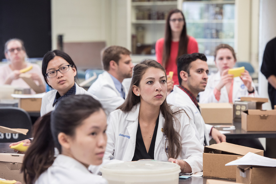 Medical students in the lab