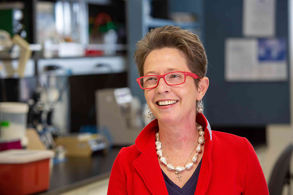 Daniela Salvemini, Ph.D.