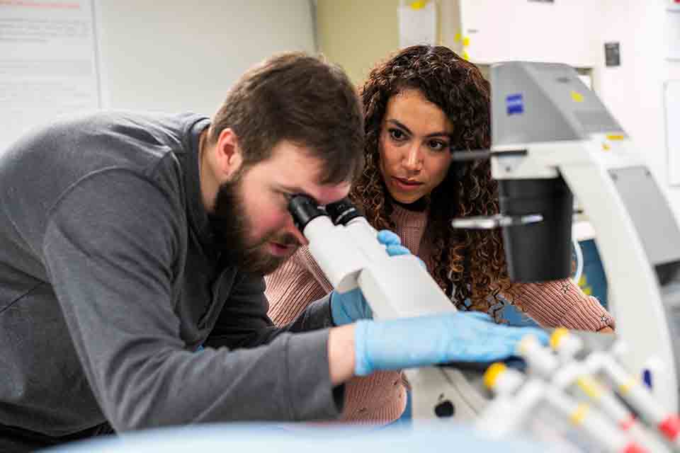 Students in a tissue lab