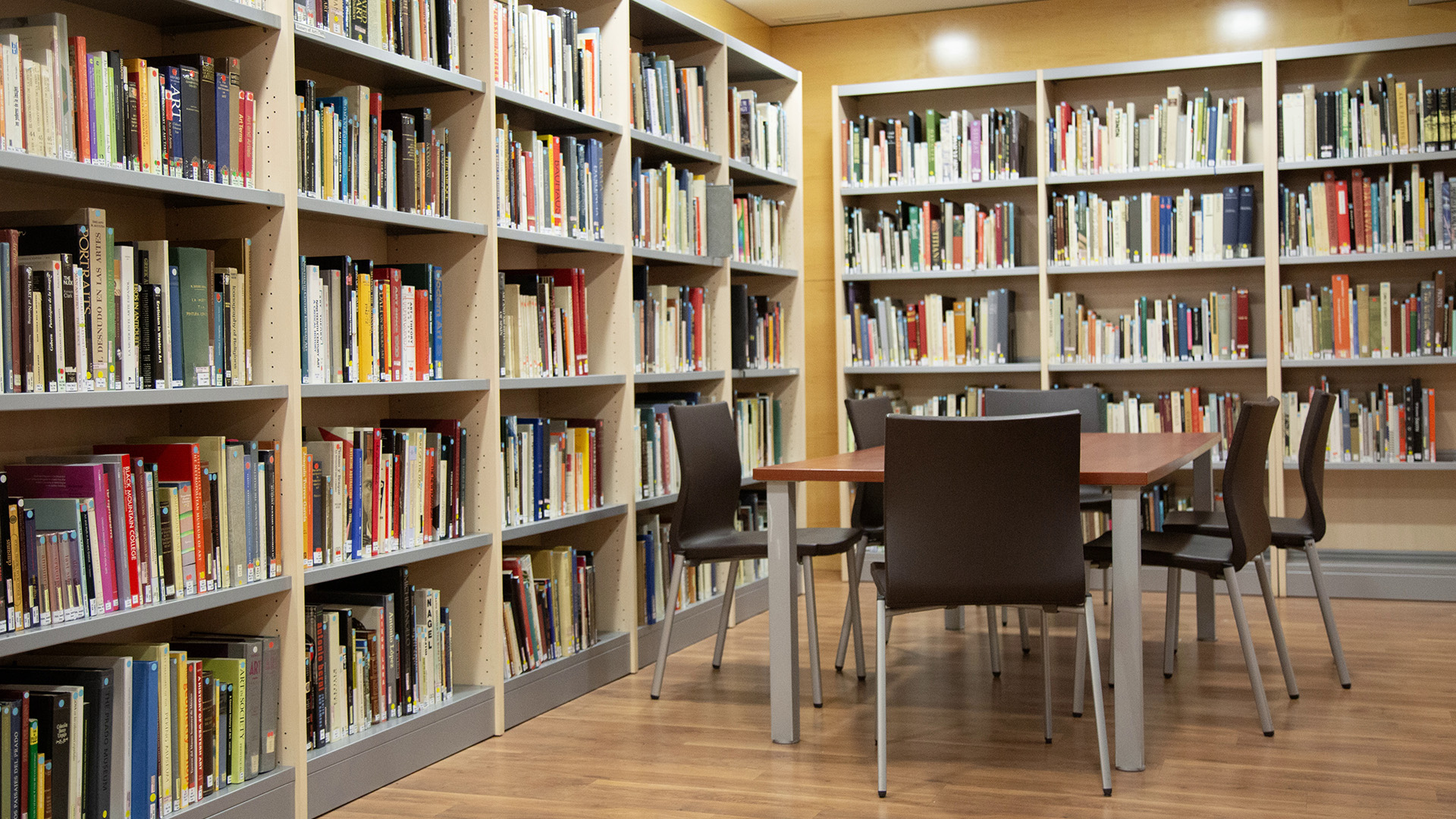 The library at SLU-Madrid.