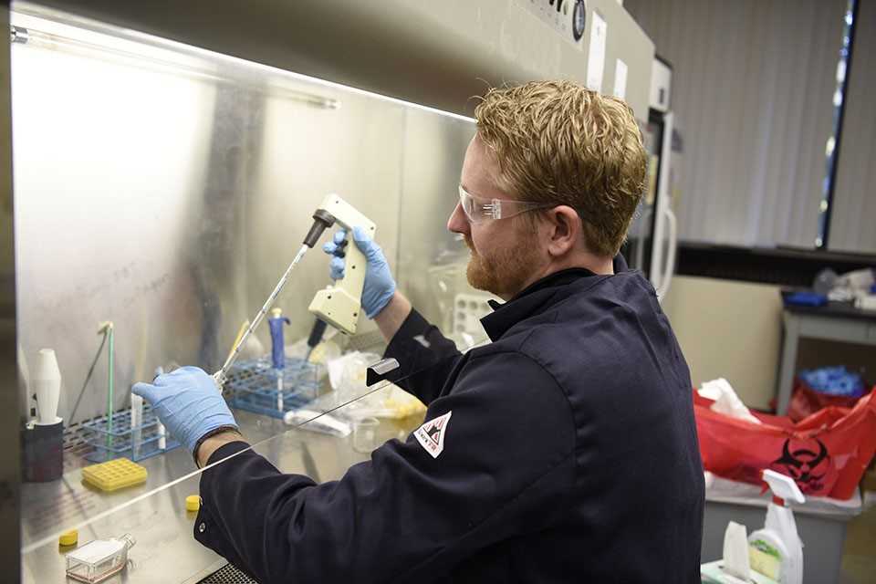 A student in a chemistry lab conducting research